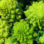 Romanesco Brocomo