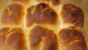 dinner rolls