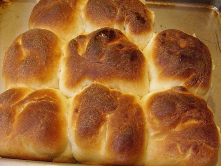 dinner rolls