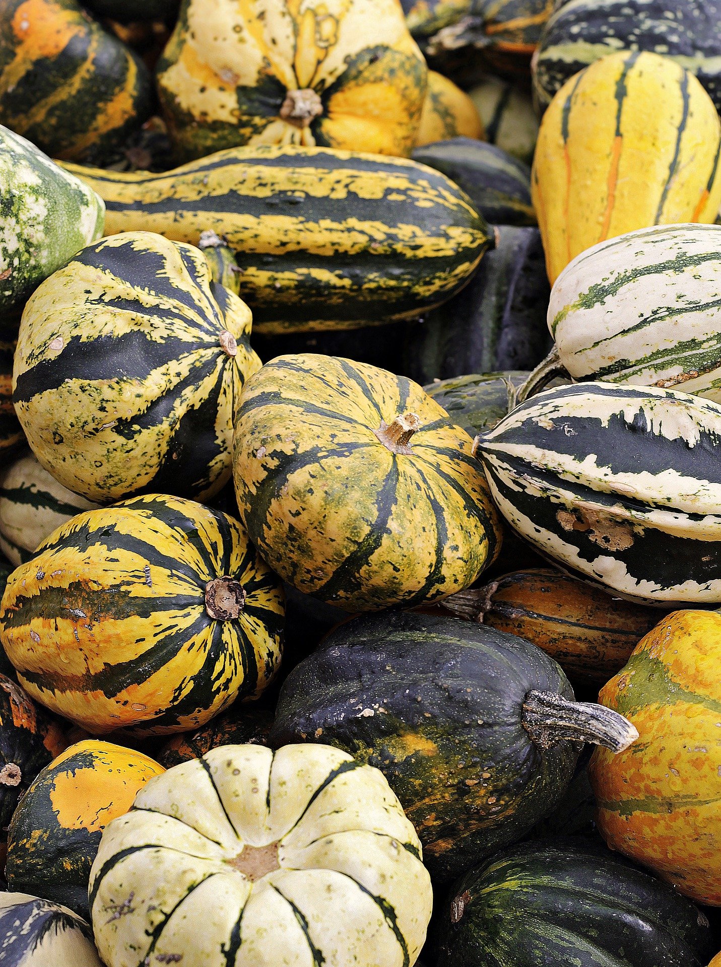 cortar la calabaza