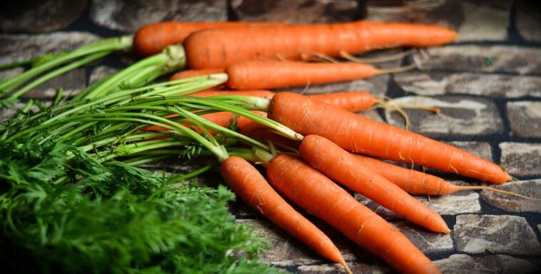 Zanahorias en aceite