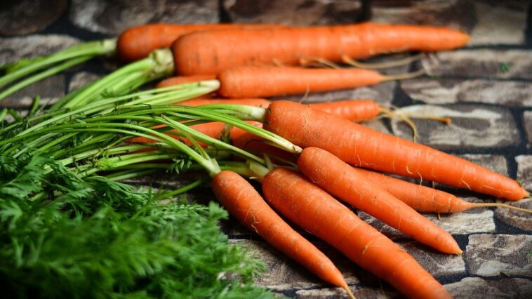 Zanahorias en aceite